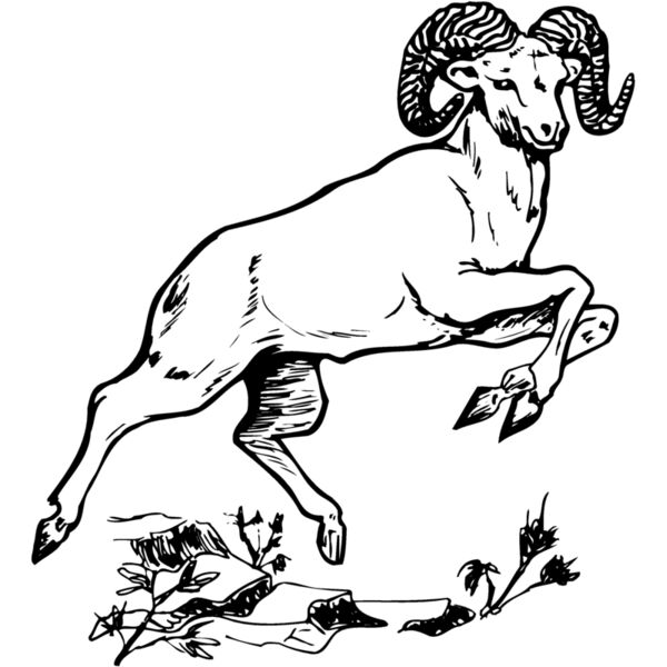 RAM014 Thumbnail