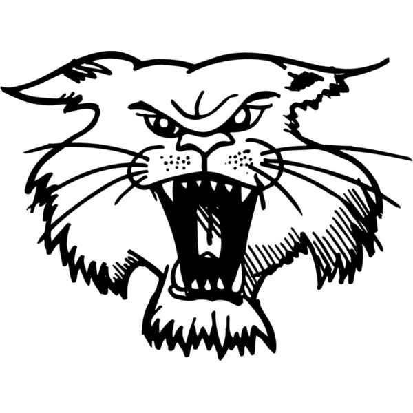 CAT01 Thumbnail
