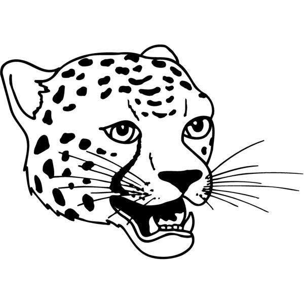CAT14 Thumbnail