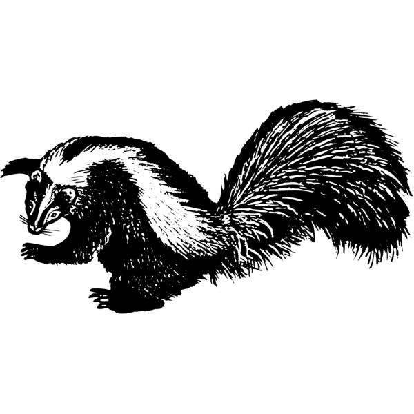 SKUNK002 Thumbnail