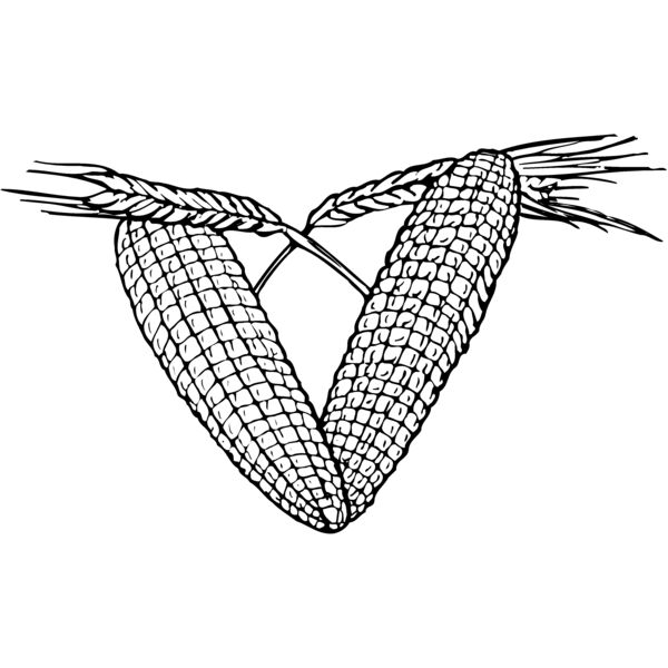 GRAIN003 Thumbnail
