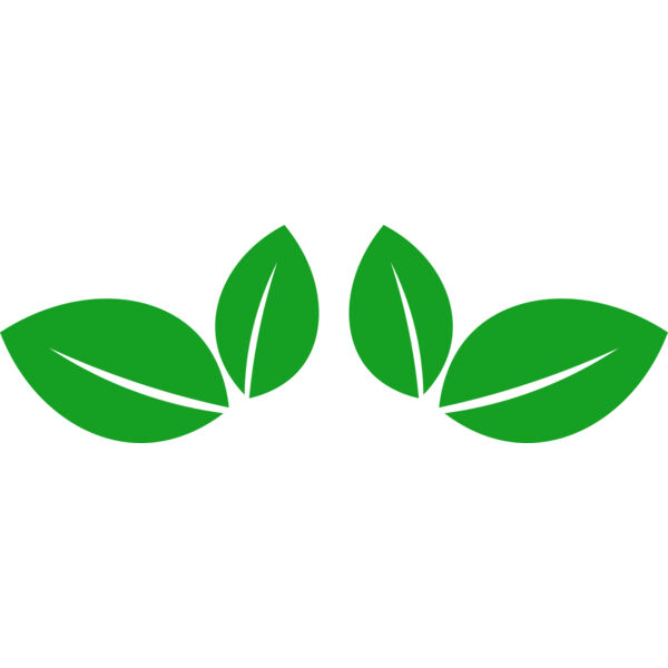 11 Leaves Thumbnail